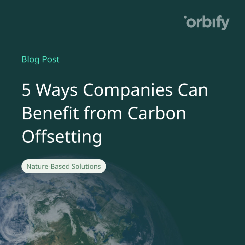 5 Ways Companies Can Benefit from Carbon Offsetting 