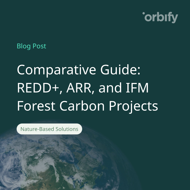 Comparative Guide: REDD+, ARR, and IFM Forest Carbon Projects