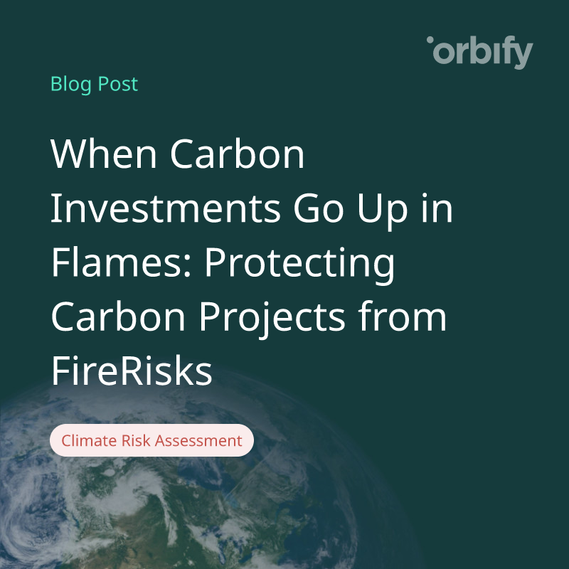 When Carbon Investments Go Up in Flames: Protecting Carbon Projects from FireRisks